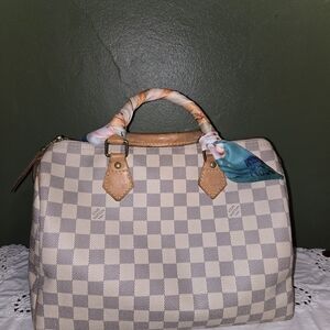 Louis Vuitton Speedy 30